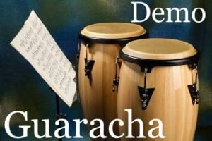 Lee más sobre el artículo Demo Guaracha