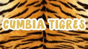 Lee más sobre el artículo Cumbia Tigres